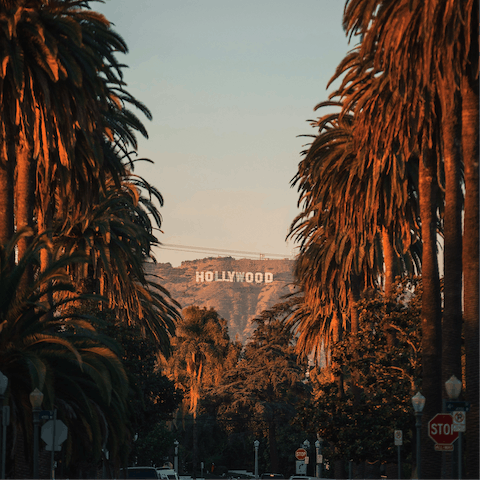 Stay in the Hollywood Hills and be at Hollywood Boulevard in ten minutes by car