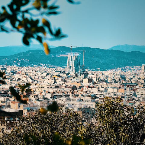 Explore Barcelona on foot from this central spot – Plaça de Catalunya is a thirty-minute walk