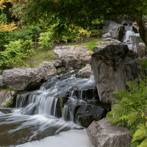 Begin your day with a refreshing walk through Holland Park