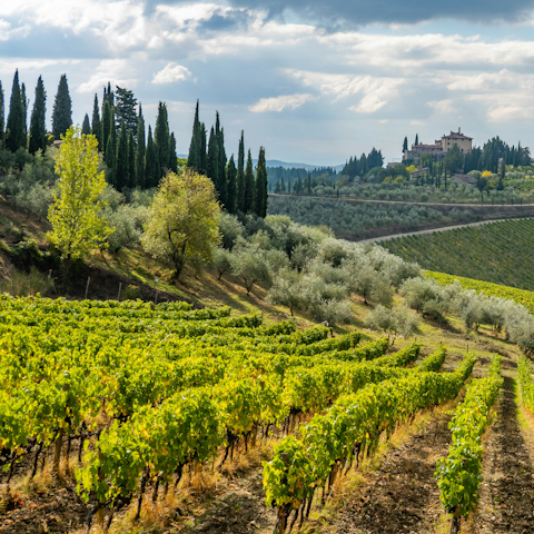 Discover Radda's stunning landscapes, a twenty-four minute drive away