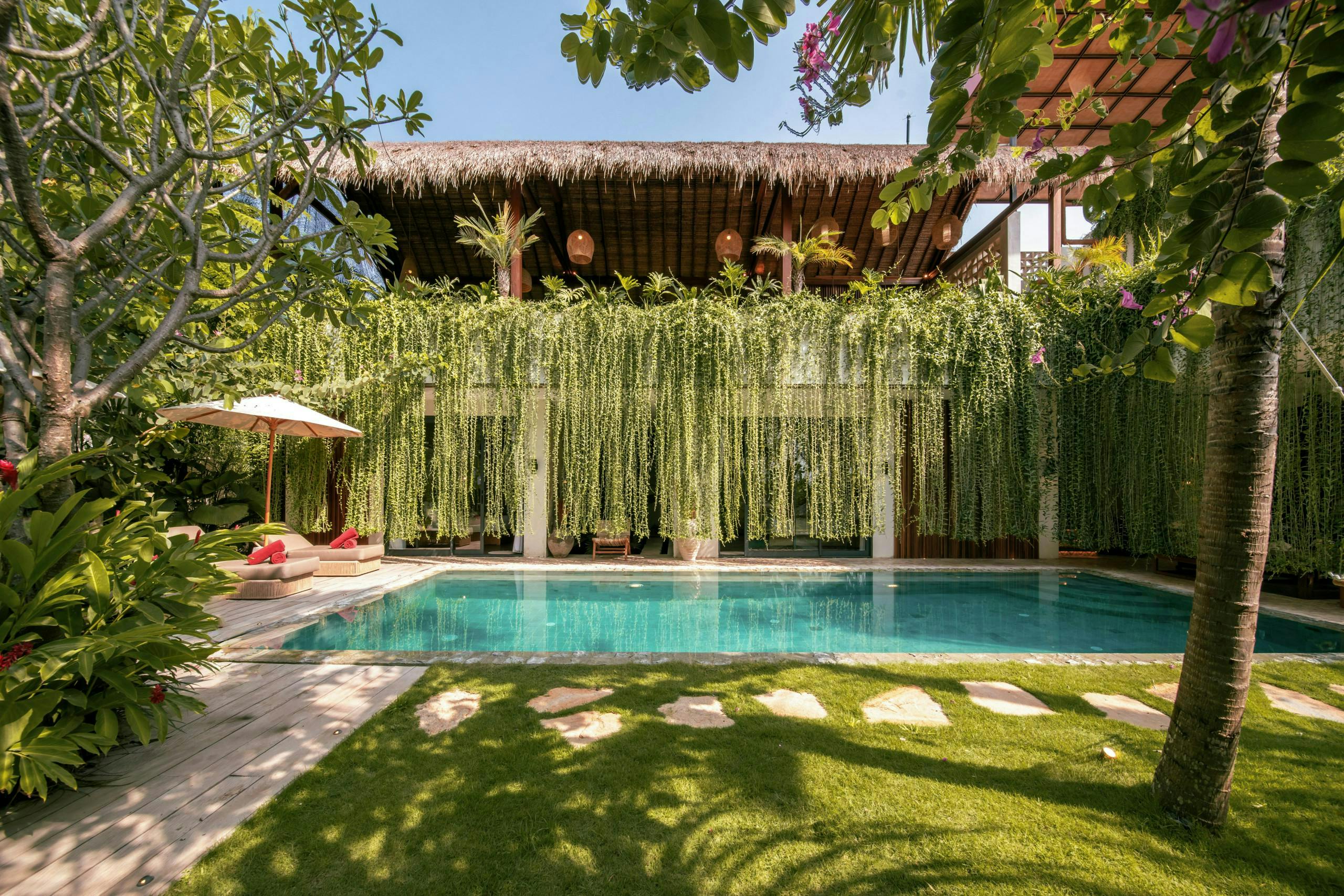 The Rice Field Dream