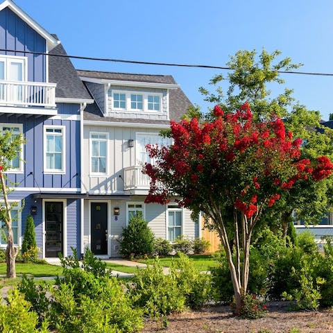 Explore this popular, leafy part of Nashville