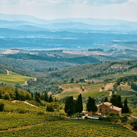 Explore the stunning countryside of Chianti