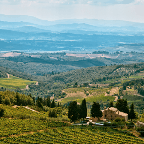 Explore the stunning countryside of Chianti