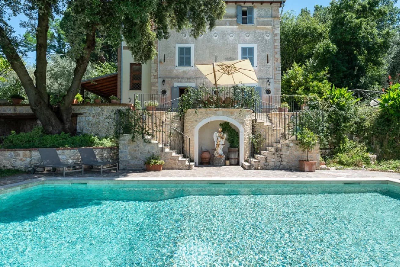 The Sunflower Blossom