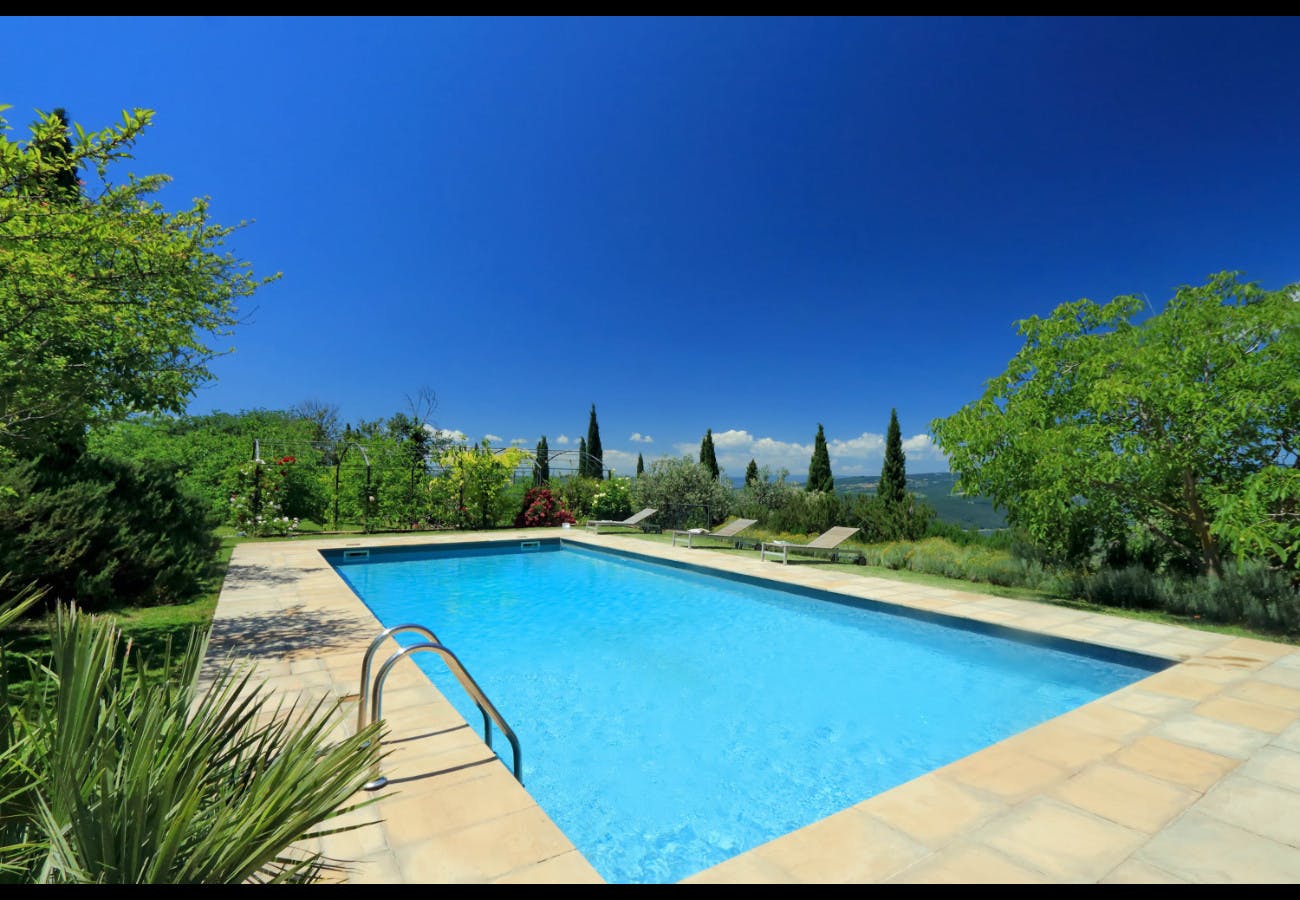 The Umbrian Vineyard