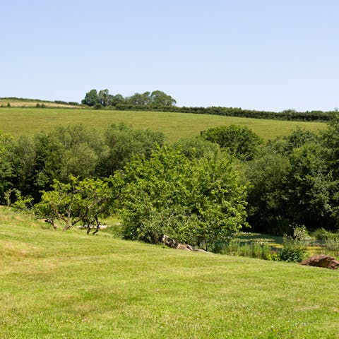 Stretch your legs with a wander around the grounds