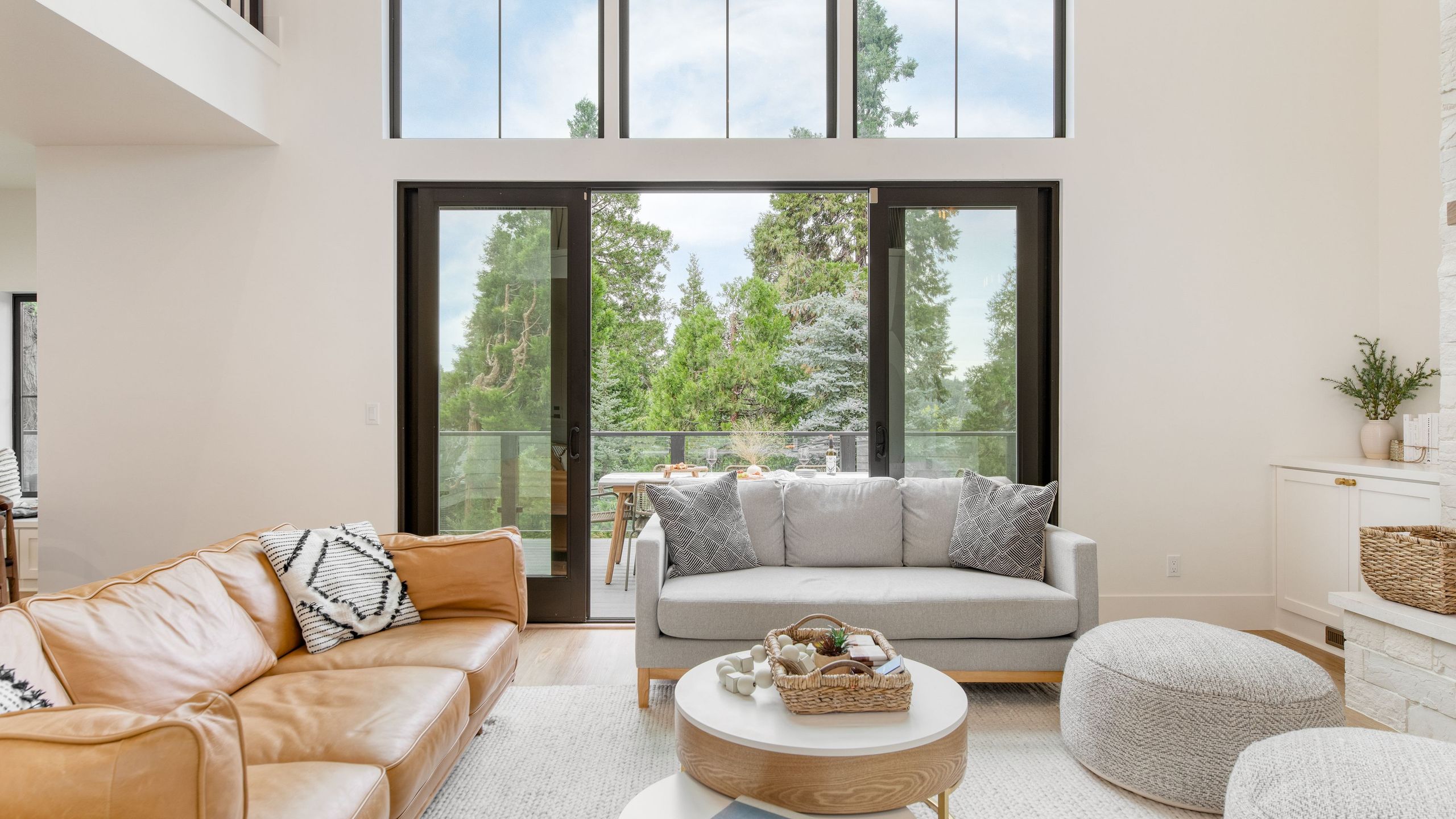 Pines & Glass