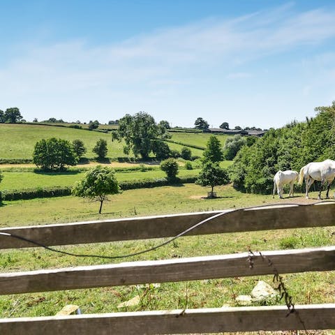 Explore the idyllic Wiltshire Cotswolds, right on your doorstep