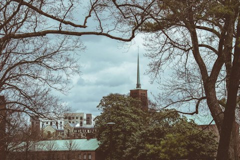 Wander Vanderbilt University's beautiful tree-lined campus and vibrant student district, around thirty-minutes' walk away