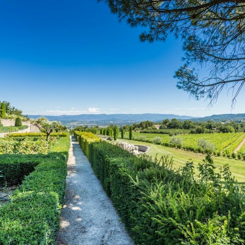 Wander the quiet paths of the estate