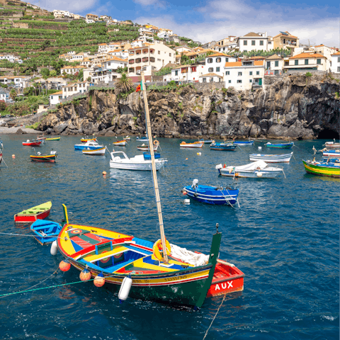 Visit some stunning towns along the south coast of Madeira including Câmara de Lobos