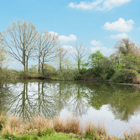 Go carp fishing at the farmland's pond
