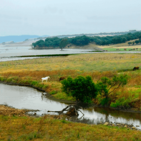 Explore the nearby Los Alcornocales Natural Park