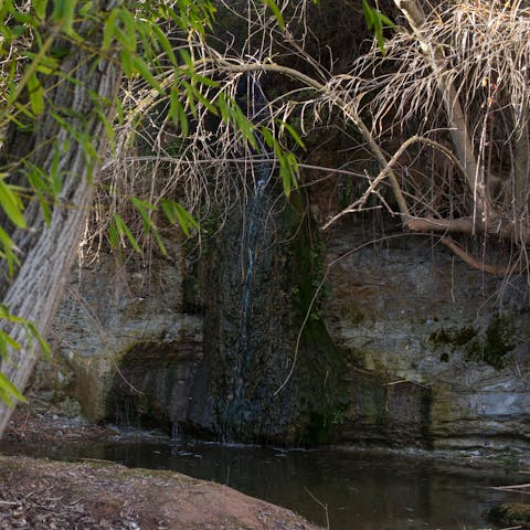 Listen to the sound of the waterfall in the garden