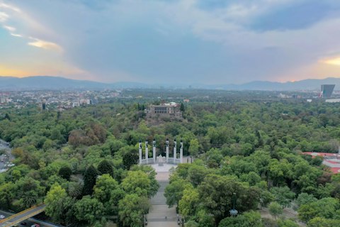 Begin your stay in Mexico City with a trip to Polanco's leafy parks