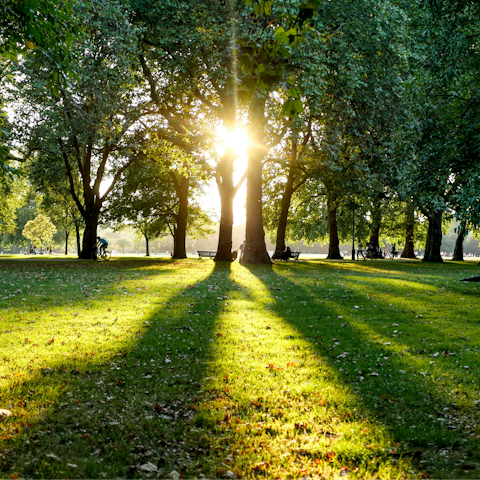 Connect with nature in Hyde Park – a short walk away