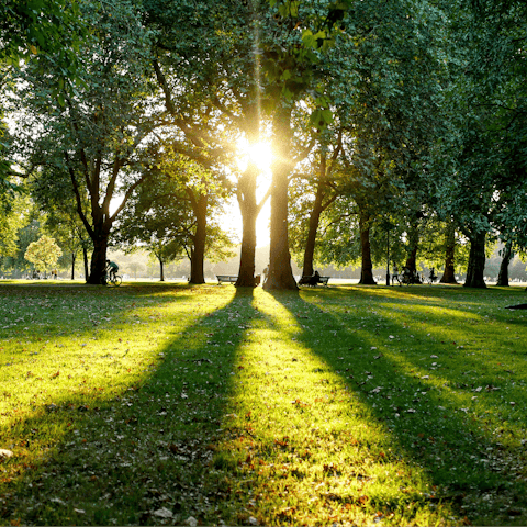 Connect with nature in Hyde Park – a short walk away