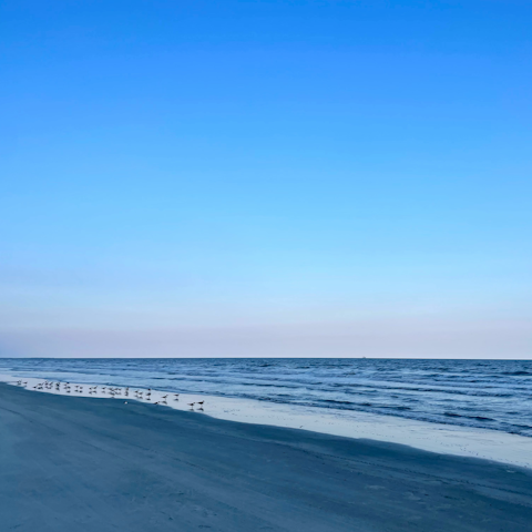 Look forward to blissful beach days on Kiawah Island