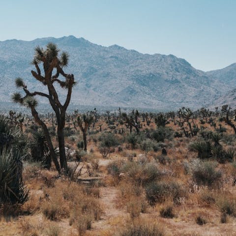 Spend your days hiking in the national park – you're less than a ten-minute drive from the west entrance