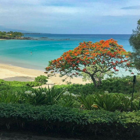 Reach the beach in just five minutes
