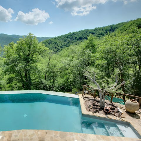 Plunge into the private swimming pool overlooking the Perugia countryside