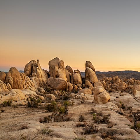 Visit the breathtaking Joshua Tree National Park – a forty-five minute drive away