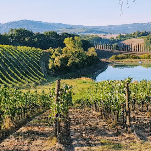 Make sure to spend an afternoon paying a visit to La Mercareccia vineyard, 9km away