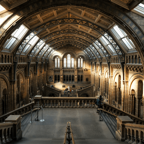 Be inspired while exploring the Natural History Museum