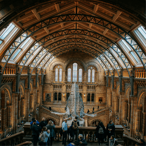 Walk twenty minutes to the Natural History Museum