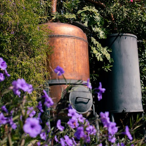 Discover how perfume is made on a tour of nearby Grasse