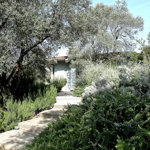 A home in the shade of the olive trees