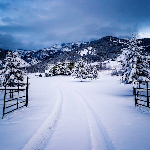 Discover the vast wilderness and snow-capped peaks of Montana