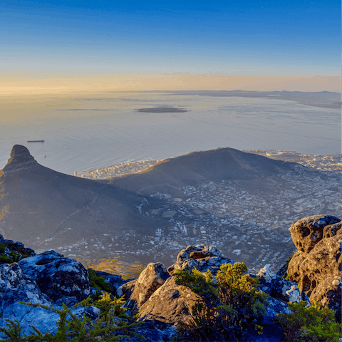 Visit nearby Table Mountain and take a hike or cable car to the top