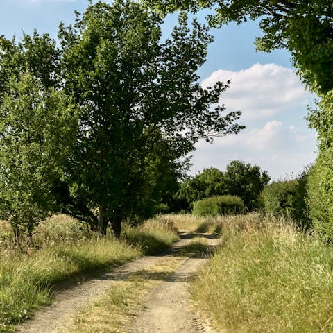 Explore the lush Essex countryside and walking paths surrounding the home