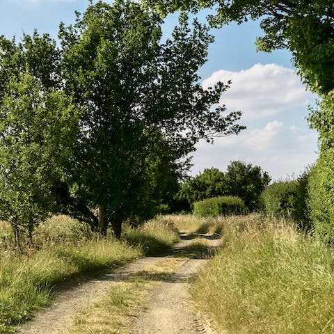 Explore the lush Essex countryside and walking paths surrounding the home