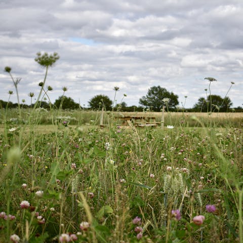Hide away in the apple meadow with a gin & tonic in hand