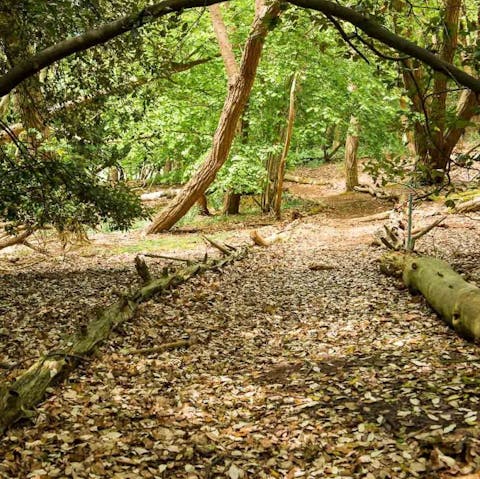 Go for a meander through your host's private nature reserve