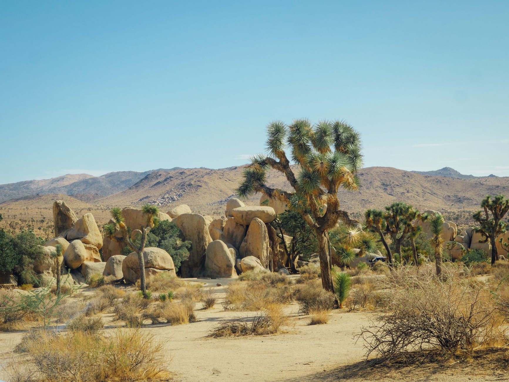 Mirage & Mesa