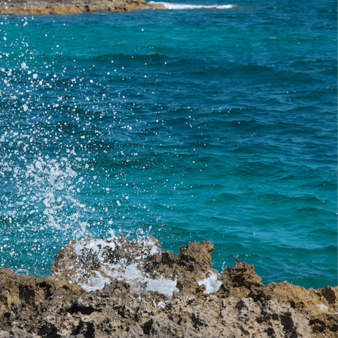 Splash around in the sea in nearby Savelletri
