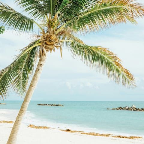 Discover the pristine beaches of Key West, less than a ten-minute drive away