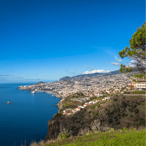 Head to the buzzing island capital of Funchal, a 25-minute drive away