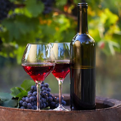 Enjoy an aperitif on the terrace overlooking waterfront views