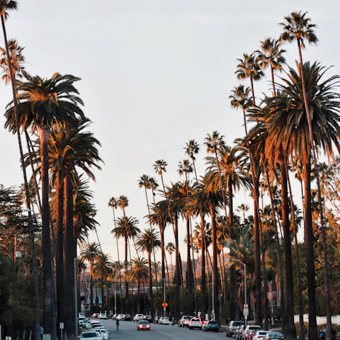 Explore the boutiques and restaurants of Beverly Hills, just 10 kilometres away.