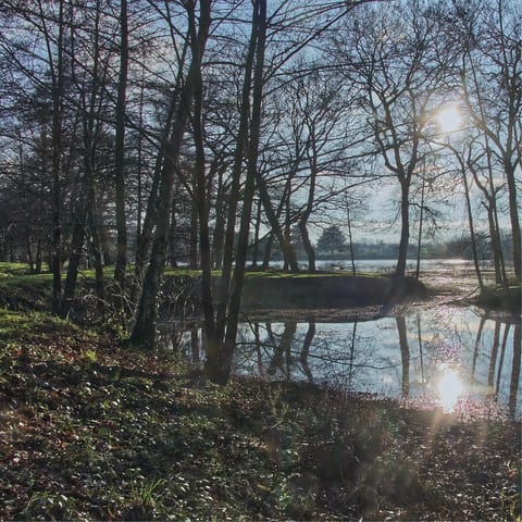 Visit Loudéac and take a beautiful walk through Parc Aquarev, both reachable by car