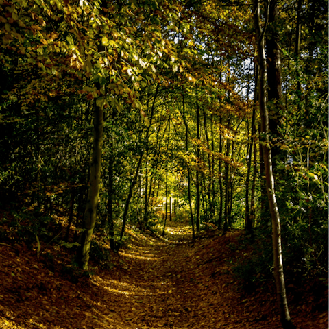 Take long refreshing walks through the surrounding countryside