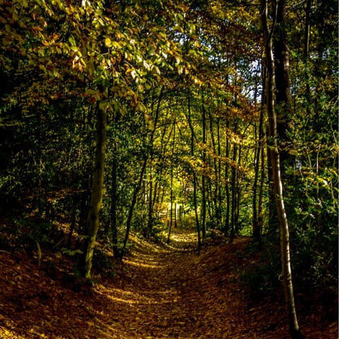 Take long refreshing walks through the surrounding countryside