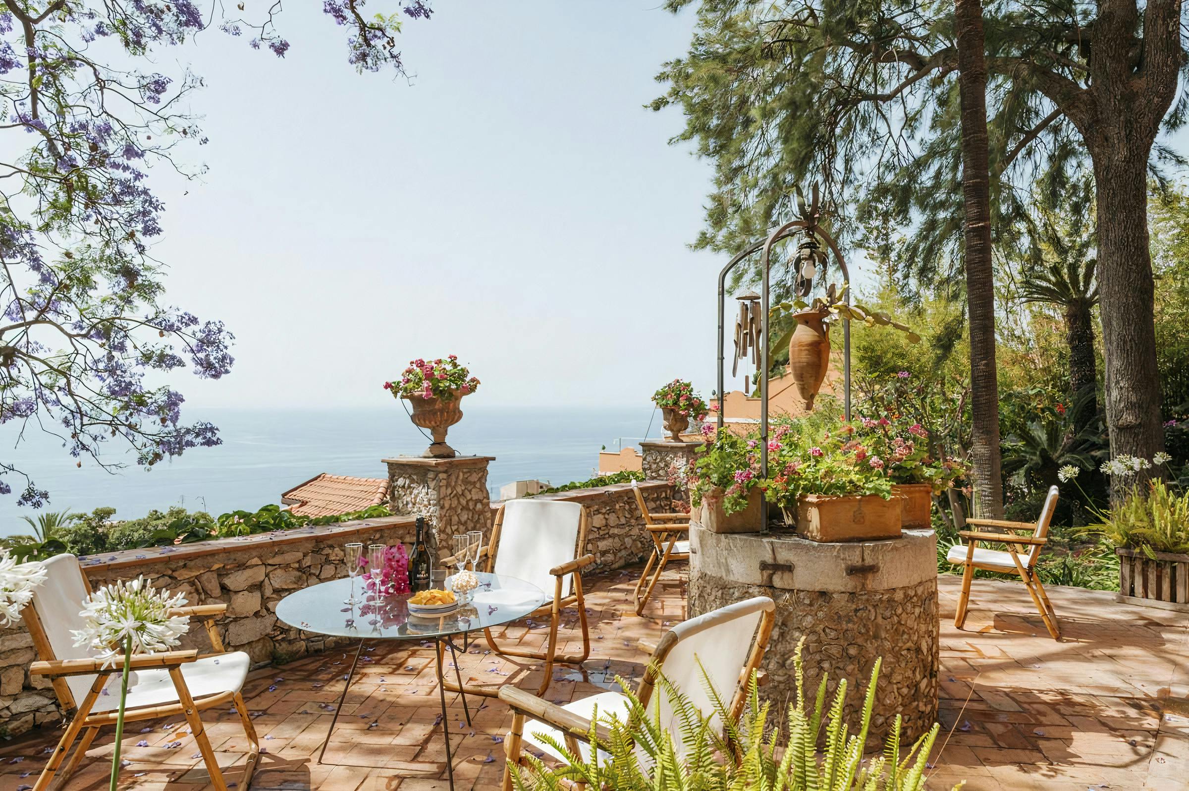 The Wild Bougainvillea