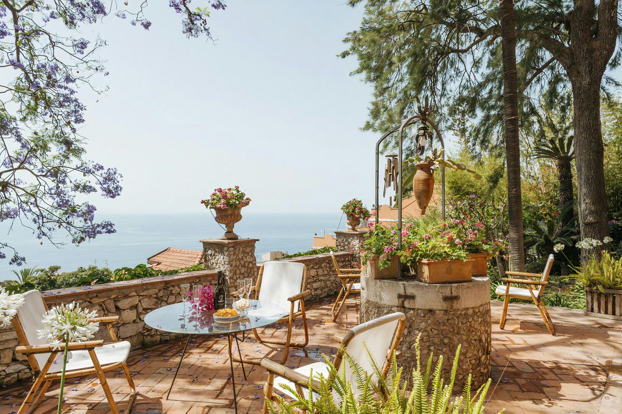 The Wild Bougainvillea