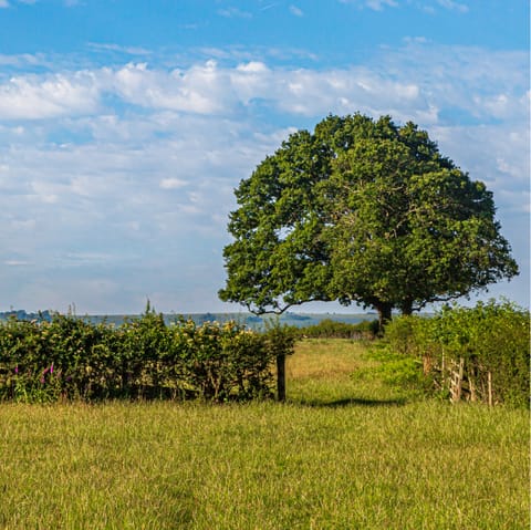 Explore the delightful Derbyshire countryside on foot or by bike